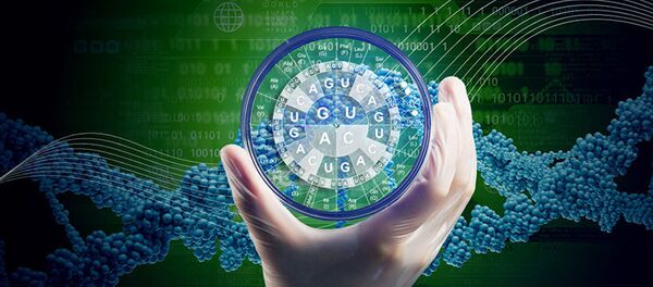 猴子基因編輯模仿人類大腦發育 - 俄羅斯衛星通訊社