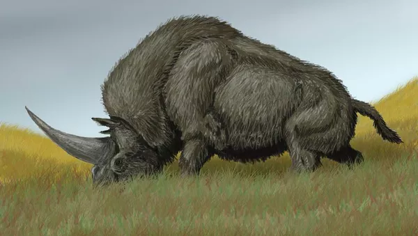 西伯利亞“獨角獸” - 俄羅斯衛星通訊社