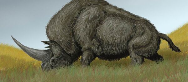 西伯利亞“獨角獸” 西伯利亞“獨角獸” - 俄羅斯衛星通訊社