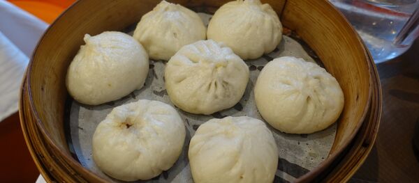 西安妈妈蒸百个包子飞上海看儿子 托运费578元 - 俄罗斯卫星通讯社