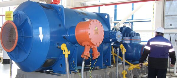 普京：俄罗斯是保证世界能源安全的重要国家 - 俄罗斯卫星通讯社