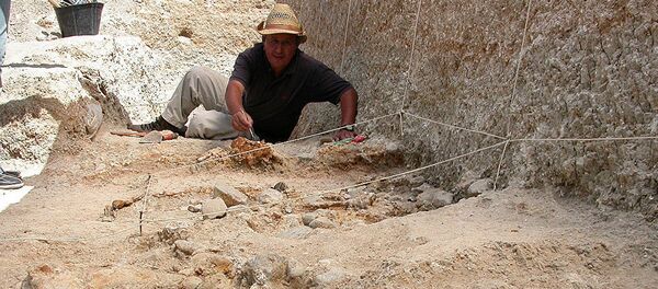 穆罕默德•萨努尼（Mohamed Sahnouni） - 俄罗斯卫星通讯社