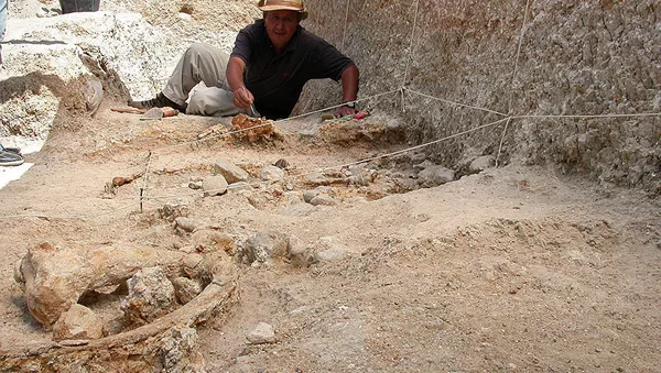 穆罕默德•薩努尼（Mohamed Sahnouni） - 俄羅斯衛星通訊社