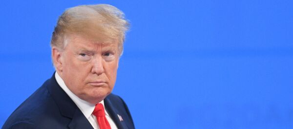 美国总统特朗普 - 俄罗斯卫星通讯社