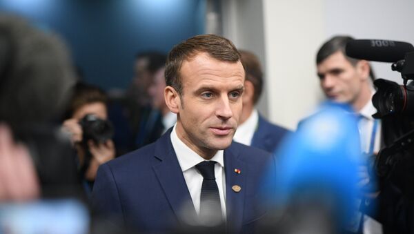 法国总统因日程繁忙而不能出席达沃斯论坛 - 俄罗斯卫星通讯社