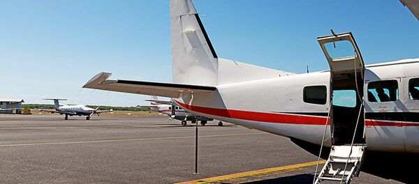 小型飛機 - 俄羅斯衛星通訊社