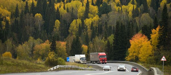 俄直投基金：中日投资者对俄港口和收费公路项目感兴趣 - 俄罗斯卫星通讯社