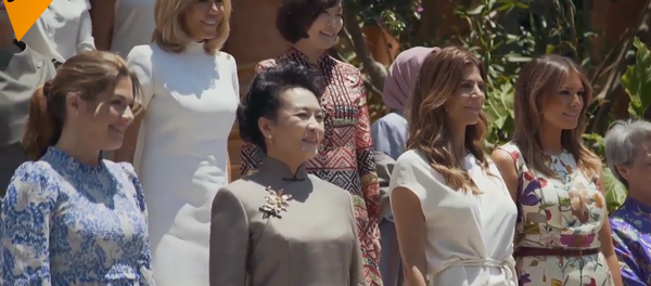 G20期间阿根廷第一夫人邀请彭丽媛等共进午餐 - 俄罗斯卫星通讯社