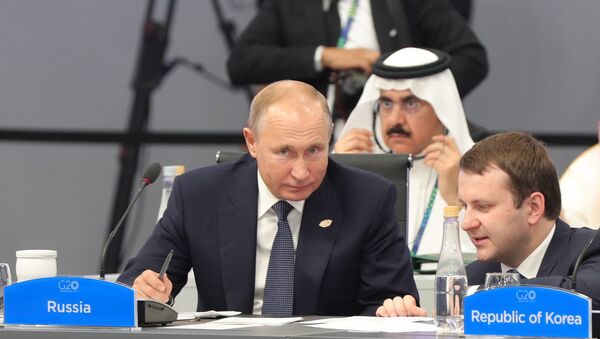 普京在G20峰会 - 俄罗斯卫星通讯社