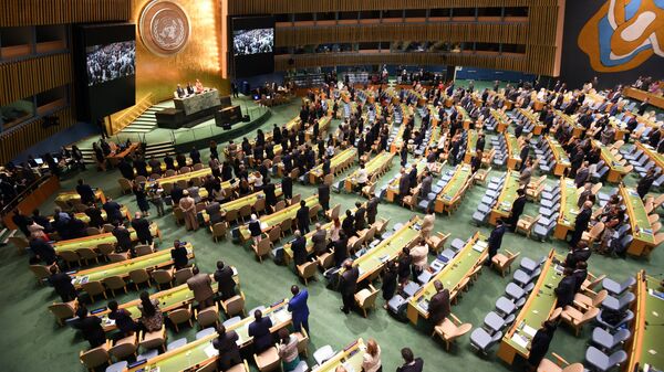 美国未把呼吁加沙停战的修正案列入联合国决议 - 俄罗斯卫星通讯社