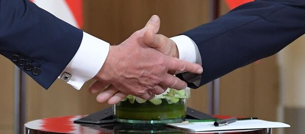 普京：俄美需就《中导条约》等所有复杂问题进行对话 - 俄罗斯卫星通讯社