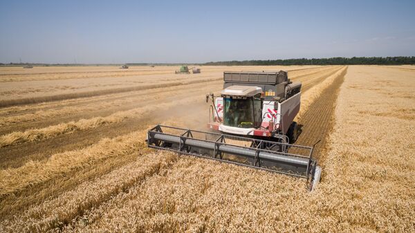 G20国家主张提高农业生产率 - 俄罗斯卫星通讯社
