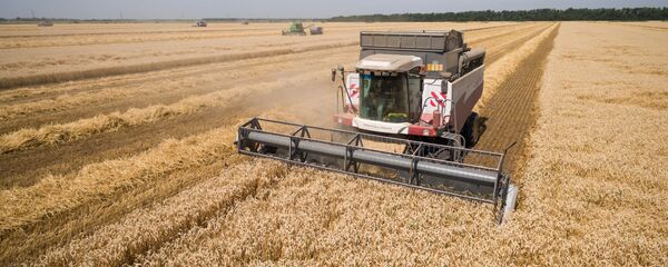 暫停90天內徵加關稅,在此期間雙方將舉行會談。中國同意非常大量購買美國農產品和工業產品。暫時只是知道達成的一致的總的框架。 暫停90天內徵加關稅,在此期間雙方將舉行會談。中國同意非常大量購買美國農產品和工業產品。暫時只是知道達成的一致的總的框架。 - 俄羅斯衛星通訊社