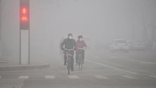 中国昆山杜克大学学者称清洁空气可能具有危险性 - 俄罗斯卫星通讯社