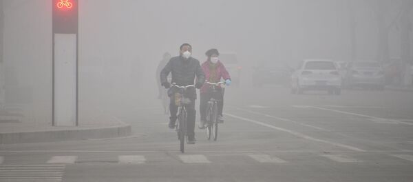 中國崑山杜克大學學者稱清潔空氣可能具有危險性 - 俄羅斯衛星通訊社