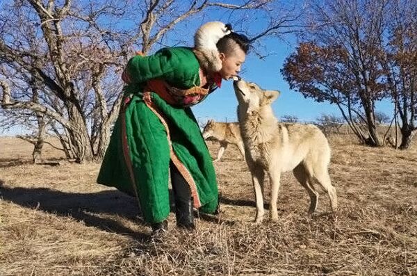 内蒙古女孩以嘴喂狼让人啧啧称道 - 俄罗斯卫星通讯社