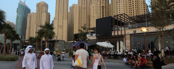 外媒：阿联酋承认大大受益于中国“一带一路”倡议 - 俄罗斯卫星通讯社