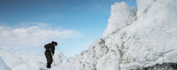 俄罗斯科学家在北极发现悬铃木和山毛榉叶片印迹 - 俄罗斯卫星通讯社