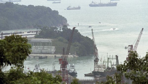 媒体：5艘马来西亚船只入侵新加坡领海 - 俄罗斯卫星通讯社
