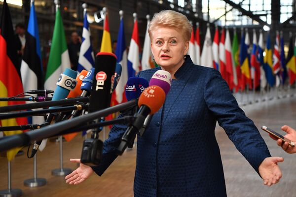 立陶宛总统达利娅·格里包斯凯特 - 俄罗斯卫星通讯社