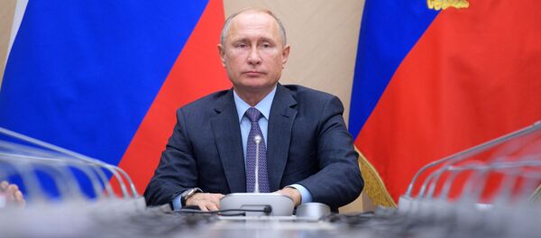 普京：需加大发展欧亚一体化进程的力度 - 俄罗斯卫星通讯社