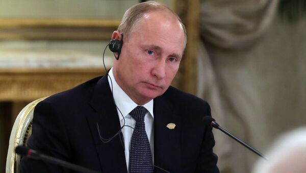 普京称美国退出《中导条约》后俄方或也将研发相关武器 - 俄罗斯卫星通讯社