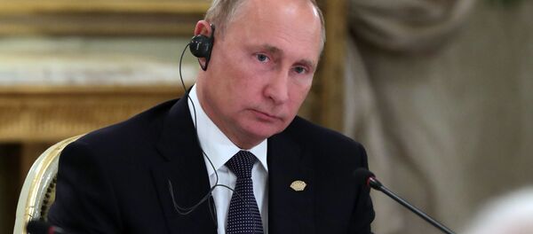 普京称美国退出《中导条约》后俄方或也将研发相关武器 - 俄罗斯卫星通讯社