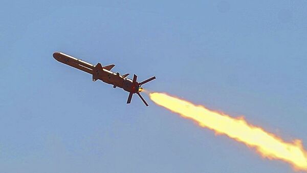 专家解释为何朝鲜拥有新型巡航导弹会改变地区军事政治格局 - 俄罗斯卫星通讯社