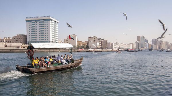 迪拜 - 俄罗斯卫星通讯社