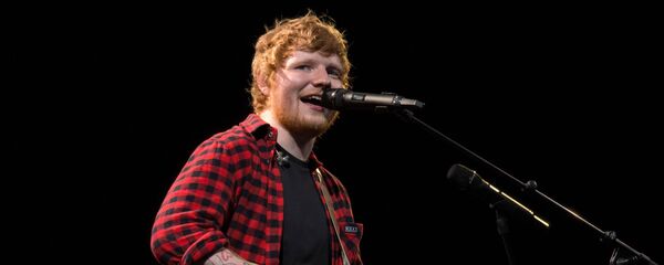 年薪最高的音乐人榜单揭晓 年薪最高的音乐人榜单揭晓 - 俄罗斯卫星通讯社