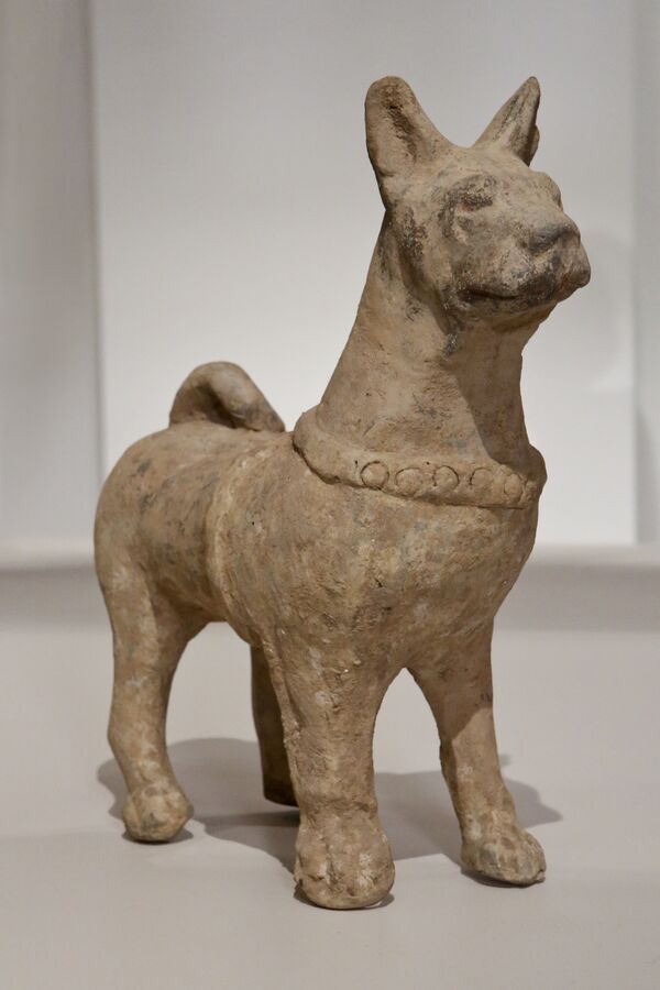 发现最多的陶瓷雕塑的造型是马、狗、猪、羊和鸡。 - 俄罗斯卫星通讯社
