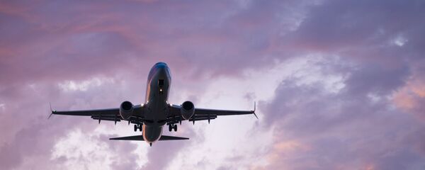 Силуэт самолета в небе - 俄罗斯卫星通讯社