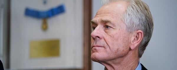 彼得·納瓦羅 彼得·納瓦羅 - 俄羅斯衛星通訊社