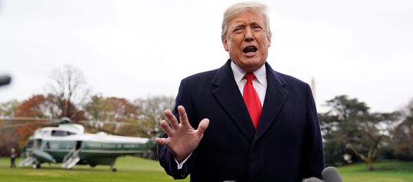 土耳其外交部称特朗普正在考虑美国撤离叙利亚的可能性 - 俄罗斯卫星通讯社