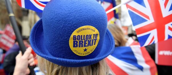 英专家:英国可能再次举行脱欧公投 英专家:英国可能再次举行脱欧公投 - 俄罗斯卫星通讯社