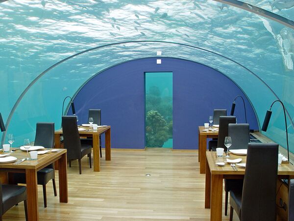 马尔代夫伊特哈海底餐厅（Ithaa Undersea Restaurant）。这家马尔代夫餐厅不仅受潜水爱好者欢迎，还吸引那些虽不敢潜水，但乐于欣赏海底景色、品尝海味的游客。餐厅有着穹形透明屋顶，在海平面以下5米。想去的客人应当考虑到这家餐厅非常小，一共只有7张小桌14个位置，所以至少要提前一周订餐。 - 俄罗斯卫星通讯社