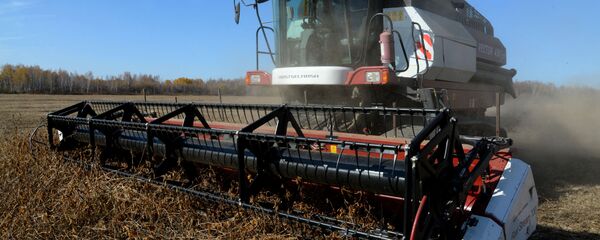 中国取消俄罗斯大豆进口限制将给俄农业发展注入活力 - 俄罗斯卫星通讯社