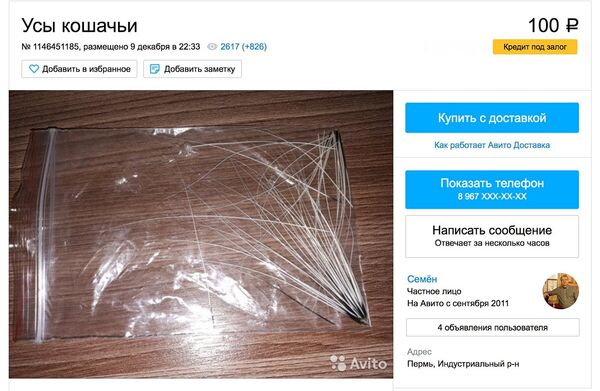 一名男子出售猫胡子 一名男子出售猫胡子 - 俄罗斯卫星通讯社