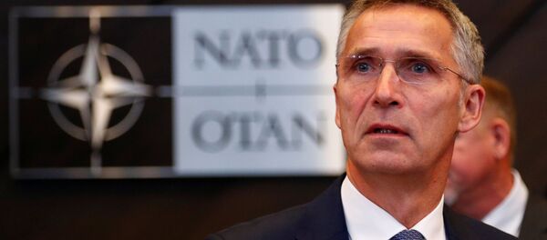 北约对科索沃决定成立军队表示遗憾 - 俄罗斯卫星通讯社