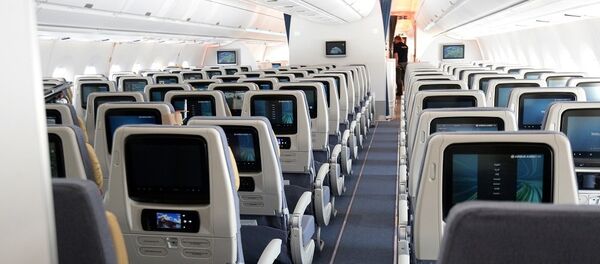 飛機票可能因社會距離上漲50% 飛機票可能因社會距離上漲50% - 俄羅斯衛星通訊社