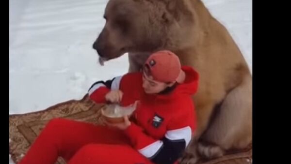 Beware, It’s a Hungry Bear! Grizzly Chills on Blanket During Relaxing Picnic - 俄羅斯衛星通訊社