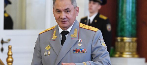 俄罗斯国防部长、陆军大将谢尔盖•绍伊古 - 俄罗斯卫星通讯社
