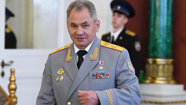 俄罗斯国防部长、陆军大将谢尔盖•绍伊古 - 俄罗斯卫星通讯社