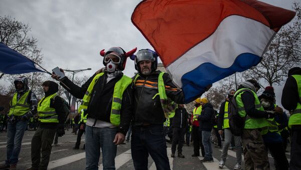 法国斯特拉斯堡恐怖事件后再有上百人举行黄背心抗议活动 - 俄罗斯卫星通讯社