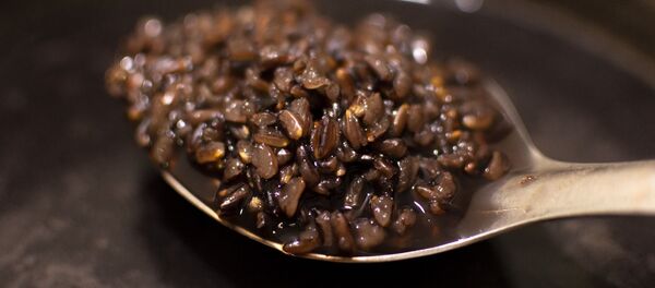 韩国学者们称黑米有助于人们减肥 - 俄罗斯卫星通讯社