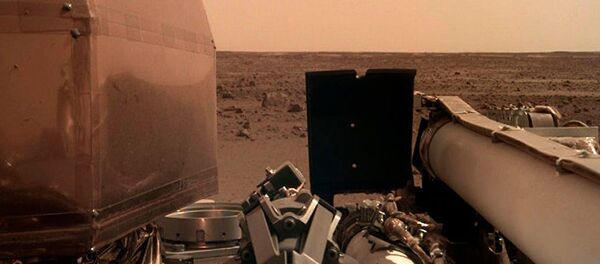 中国科学家能否借助藻类制造肥沃土壤 - 俄罗斯卫星通讯社