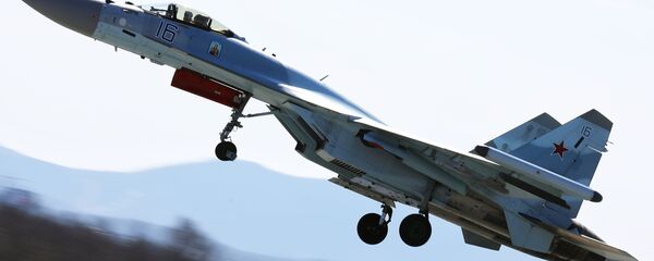 印尼防长：印方希望在年底前开始交付苏-35战机 - 俄罗斯卫星通讯社