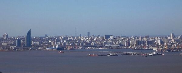 蒙得维的亚 - 俄罗斯卫星通讯社