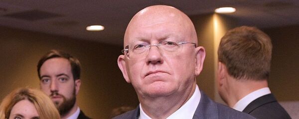 瓦西里∙涅边贾 - 俄罗斯卫星通讯社