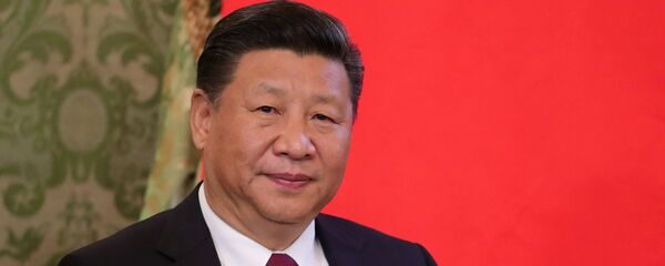 中国国家主席习近平 - 俄罗斯卫星通讯社